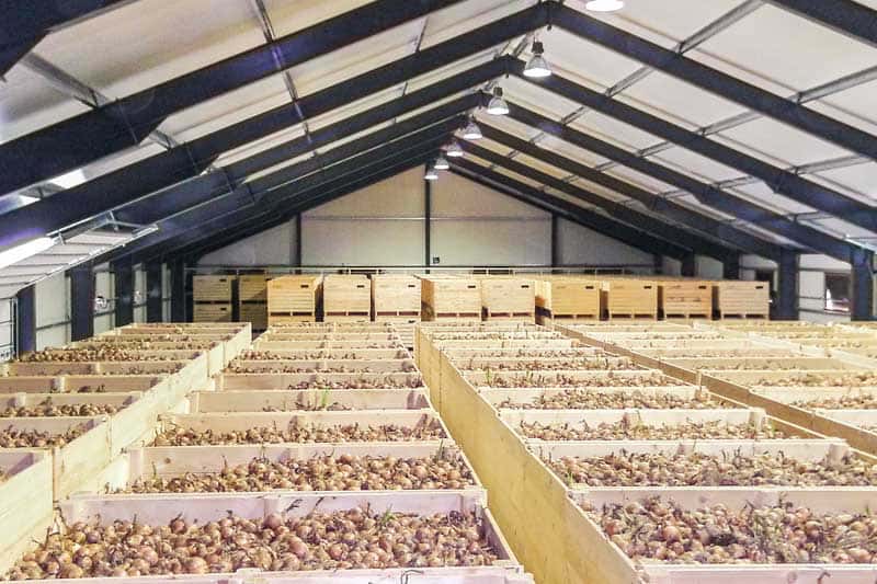 Flexibles Lager für Agrarprodukte - Maßgeschneiderte Hallen für Agrarhandel von ELF