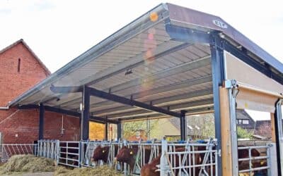 Neubau trifft Bestand: Modernen Offenstall für Angusrinder mitten im Dorfkern anbauen