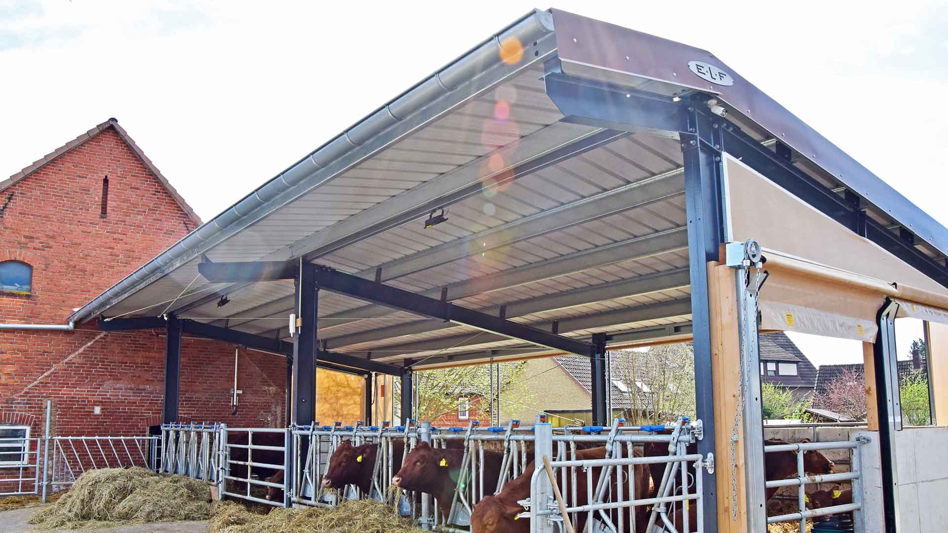 Anbau eines Offenstalls für Rinder an ein Bestandsgebäude in der Region Pattensen bei Hannover