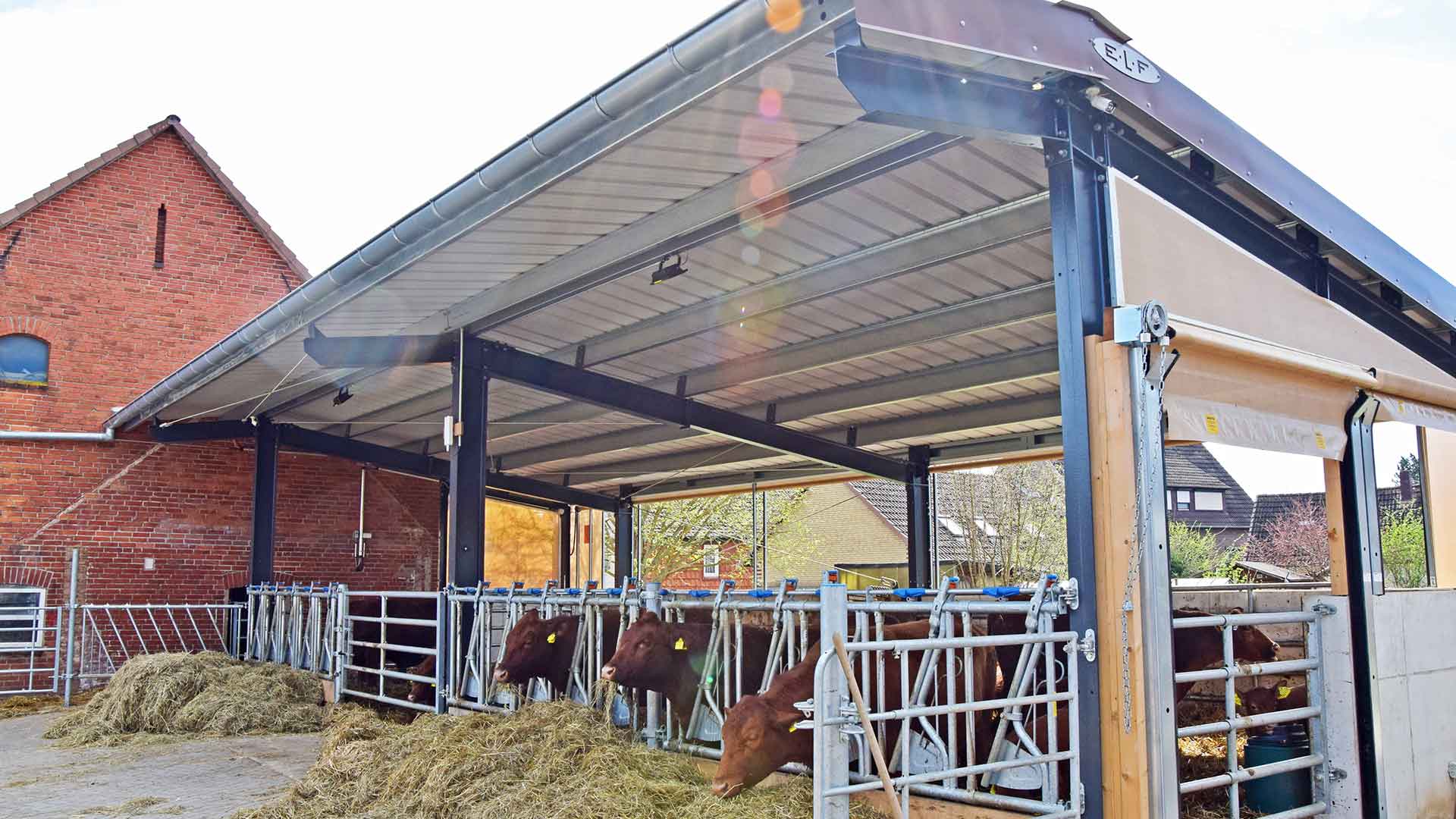 Anbau eines Offenstalls für Rinder an ein Bestandsgebäude in der Region Pattensen bei Hannover