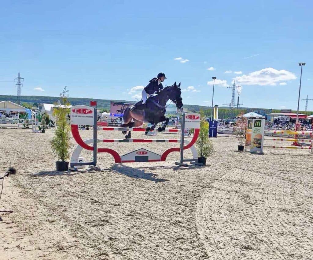 Pferd mit Reiterin während des Reittuniers in Bevern gesponsert von ELF Hallen